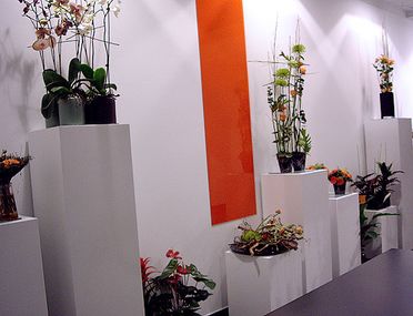 Adolfo Floristas Decoración con flores